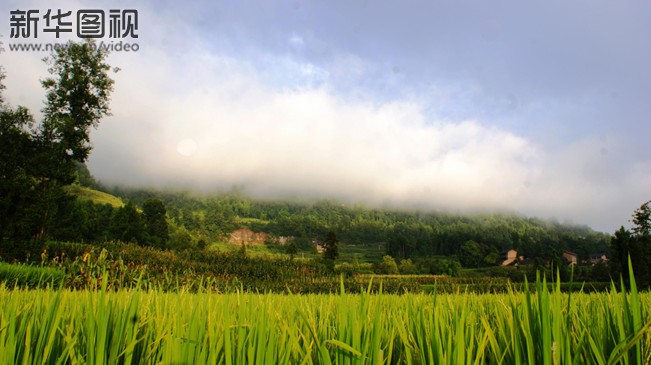 【新华图视】农家风情