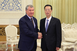 张高丽会见俄罗斯总统能源发展战略和生态安全委员会秘书长兼俄石油公司总裁谢钦