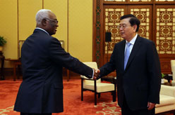 张德江会见多哥国民议会议长德拉马尼