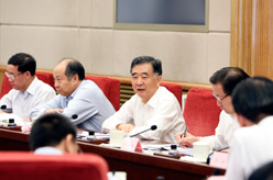 汪洋主持召开内贸流通体制改革发展综合试点工作会议