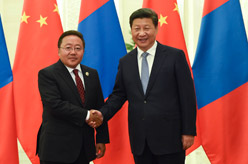 习近平会见蒙古国总统额勒贝格道尔吉
