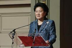 中欧高级别人文交流对话机制第三次会议在布鲁塞尔举行 刘延东主持会议并致辞