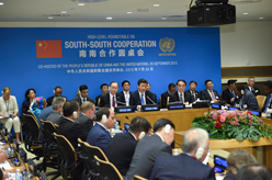 习近平出席并主持南南合作圆桌会