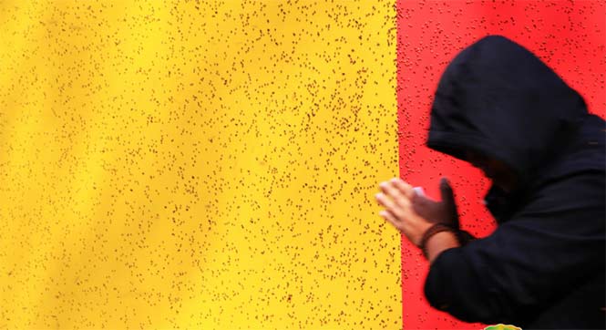 哈尔滨：瓢虫聚集山寺墙上形成美丽景观