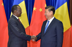 习近平会见乍得总统代比