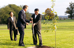 习近平同英国首相卡梅伦共同植友谊树