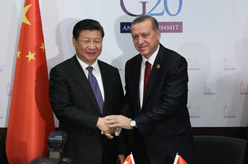 习近平会见土耳其总统埃尔多安