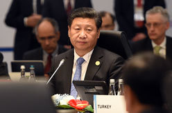 习近平出席二十国集团领导人第十次峰会第一阶段会议