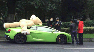 豪车载超大号毛绒熊被交警查处