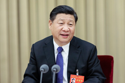 习近平在中央城市工作会议上发表重要讲话