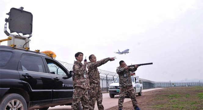 春运期间机场24小时的守护者：持枪&ldquo;驱鸟人&rdquo;