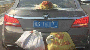 网友说这车配置好高：后置发动鸡 双涡轮增鸭