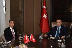 土耳其总统埃尔多安会见汪洋