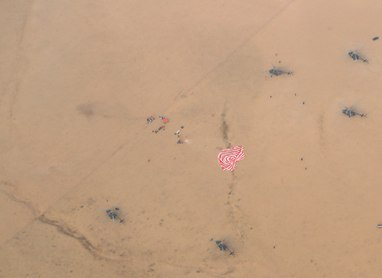 为了来自太空的微笑