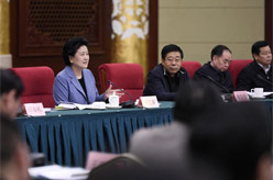 刘延东出席国务院学位委员会第三十三次会议并讲话