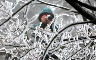 张家界天子山雾凇美景立春迎客