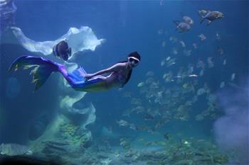 梦幻海底“美人鱼”