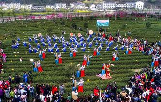 陕南生态实景剧 演绎茶乡情韵