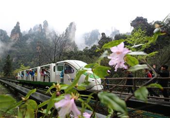 云雾缭绕画中游