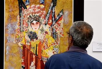 中国瓷艺术展在突尼斯举行