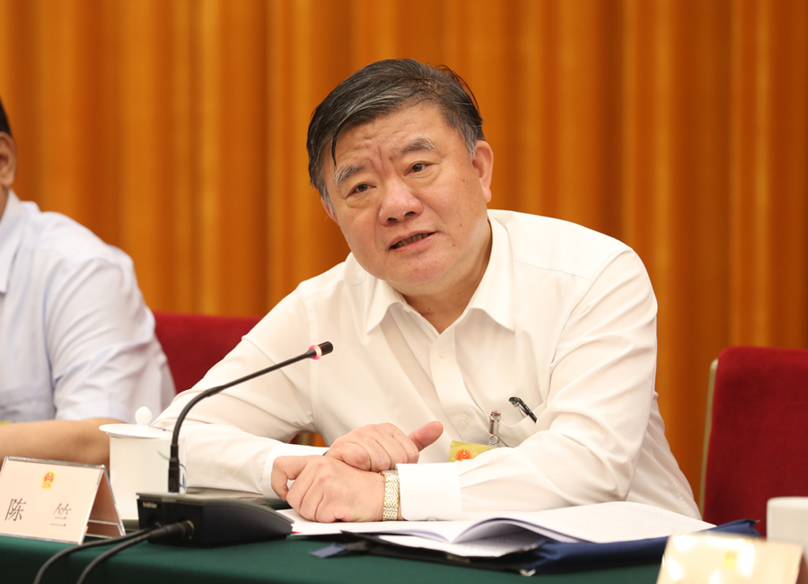 全国人大常委会副委员长陈竺回答问题