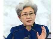 十二届全国人大二次会议副秘书长、发言人傅莹