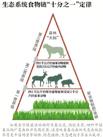 葛建平：保护野生东北虎豹拟入&ldquo;十三五&rdquo;规划