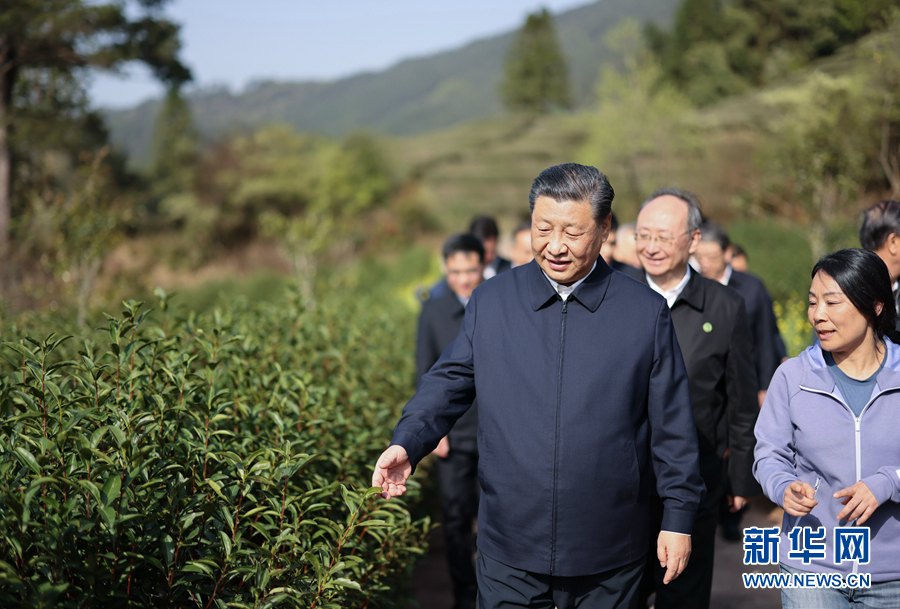 学习进行时丨习的“茶之道”