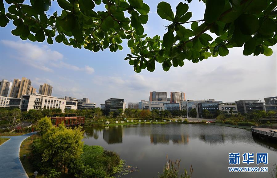 （新华全媒头条&middot;图文互动）（7）打造引领新时代对外开放的鲜明旗帜和重要开放门户&mdash;&mdash;聚焦《海南自由贸易港建设总体方案》