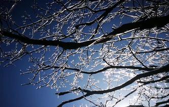 湖北十堰:光伏发电让379个贫困村不再 空壳