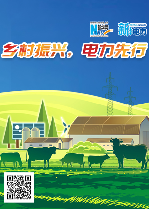 乡村振兴，电力先行
