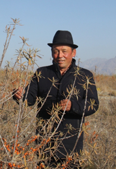 新疆阿合奇县别迭里村村民图尔荪阿力&middot;拜依谢克：沙棘搭平台 脱贫奔小康