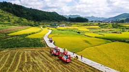 攻坚克难再奋进&mdash;&mdash;透视2021年中国经济答卷