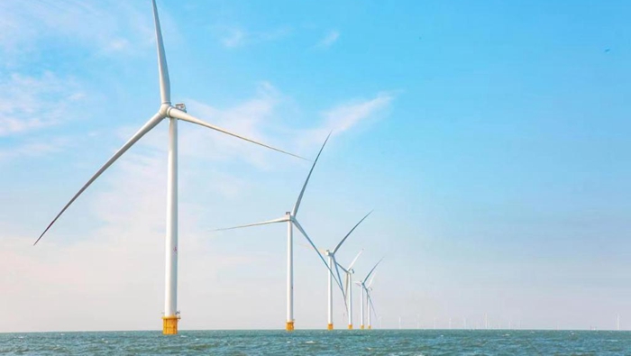 我國首個“海上風電+海洋牧場”全年上網電量將超10億千瓦時