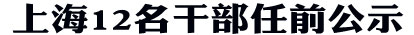 上海12干部任前公示 王力为刘伟拟任上海团市委副书记