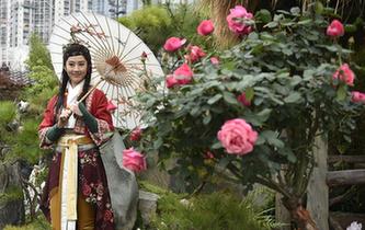 花卉預展拍&ldquo;花模&rdquo;