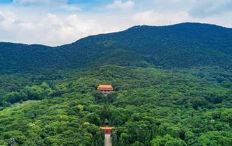 航拍世界文化遺産南京明孝陵 盡顯一代帝王威武氣勢