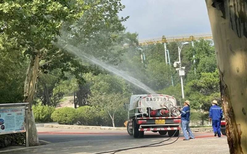 城市绿化树的&ldquo;吸血虫&rdquo;&mdash;&mdash;悬铃木方翅网蝽