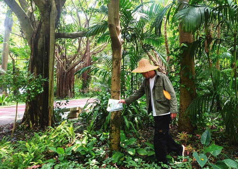 非洲大蜗牛&mdash;&mdash;从宠物到&ldquo;田园杀手&rdquo;