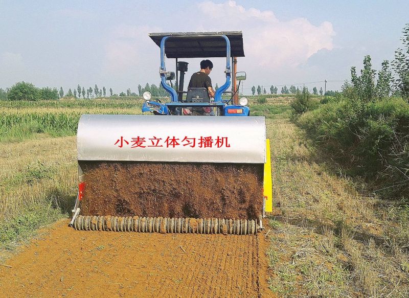 绿色又高效!小麦原来可以这么种 绿色又高效!小麦原来可以这么种