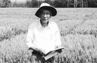 庄巧生院士：扎根冬小麦主产区 一待就是60年