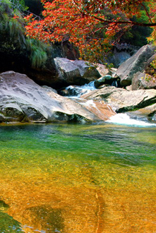 武夷山世界生物圈保护区