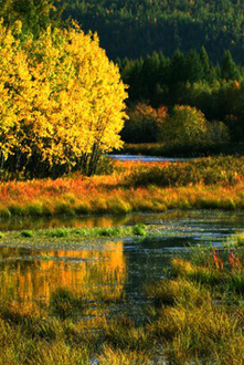 汗马世界生物圈保护区
