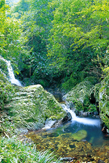 车八岭世界生物圈保护区