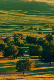 赛罕乌拉世界生物圈保护区