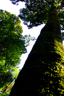 高黎贡山世界生物圈保护区