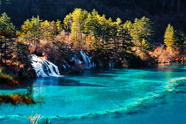 美丽的中国森林