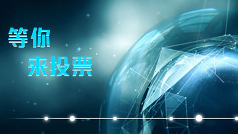 投票