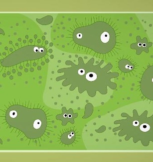 微生物：食物放久变质的原因