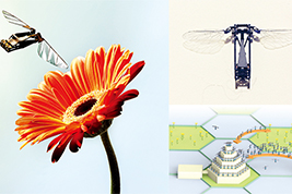 机器蜜蜂的群体智慧